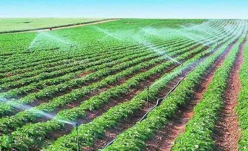 一级躁bb农田高 效节水灌溉